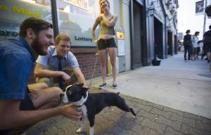 Getchen Ehrl/Boston Globe